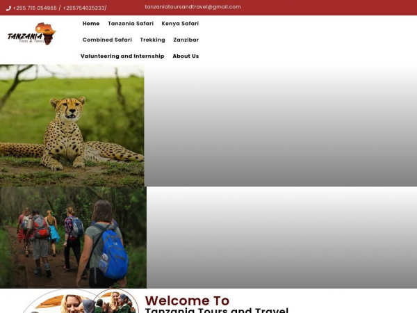 tanzaniatoursandtravel.com